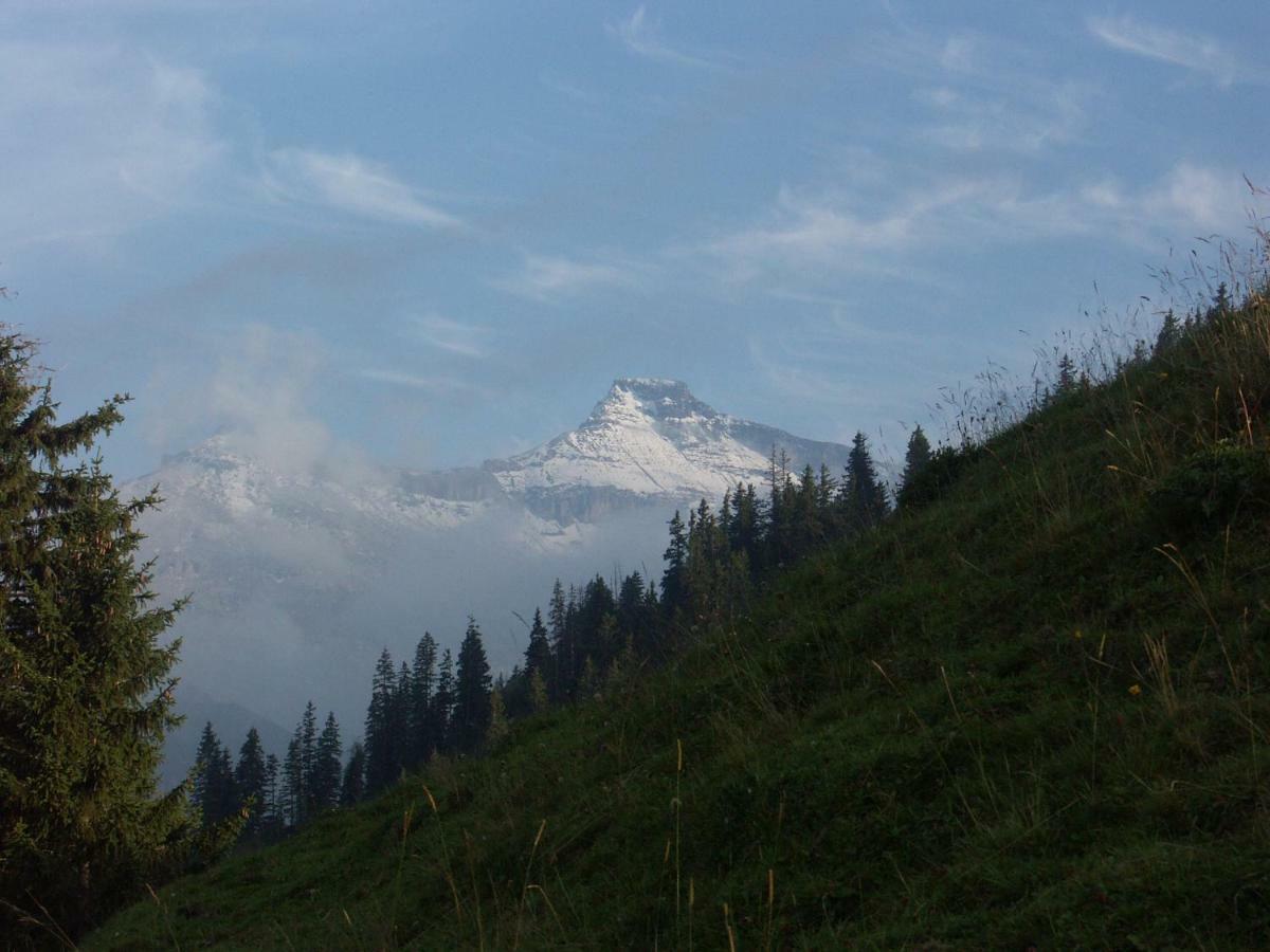 Pension Sonne Adelboden Eksteriør bilde